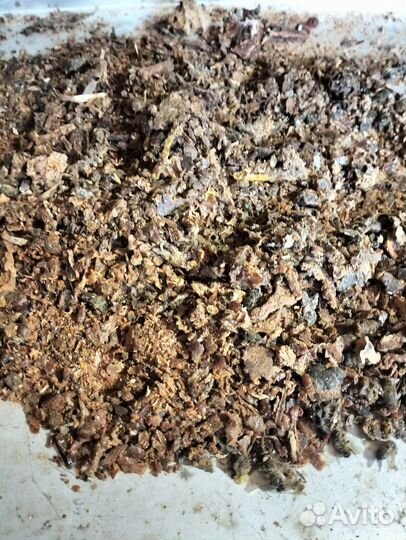 Прополис пчелиный