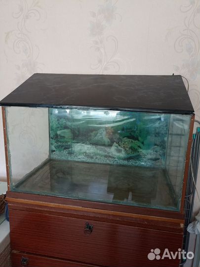 Аквариум