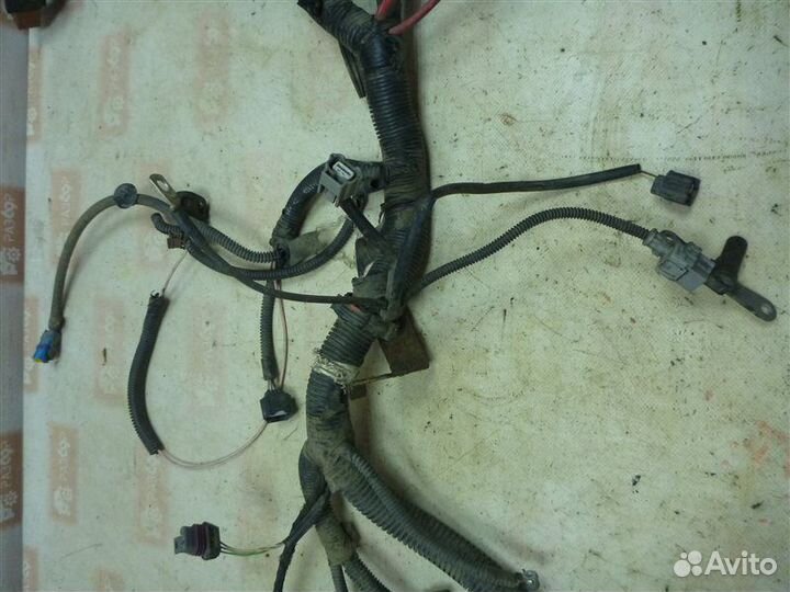 Проводка моторного отсека Renault Sandero BS12
