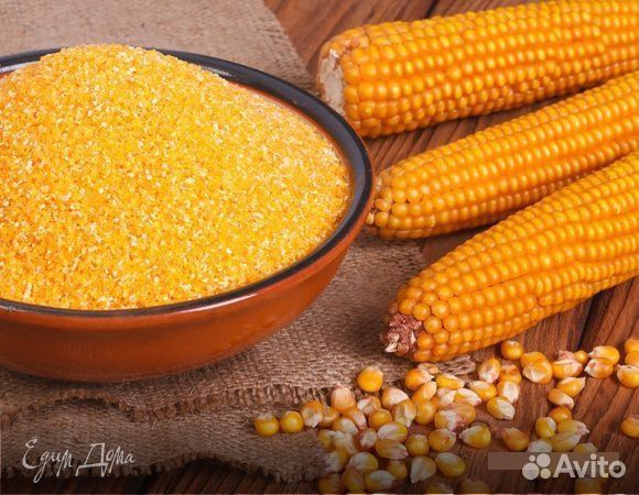 Кукуруза