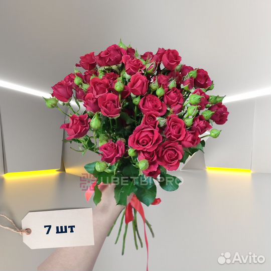 Букет красных кустовых роз 60 см 43 шт