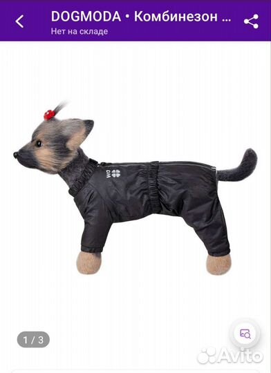 Комбинезон для маленькой собаки зима
