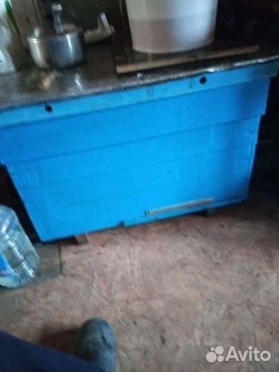 Пчелы и улья