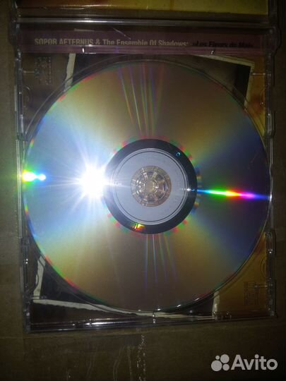 Sopor Aeternus Les fleurs du mal