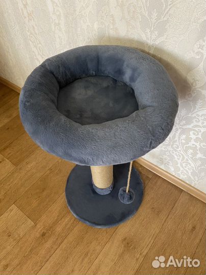 Новая когтеточка для кошек