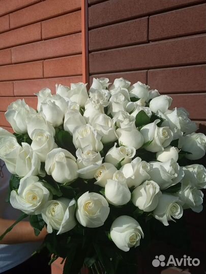 Букет из 101 розы/Белые розы