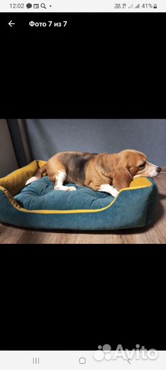 Лежанка для животных