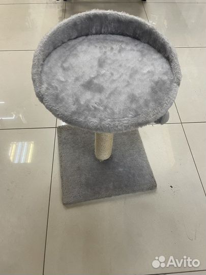 Когтеточка