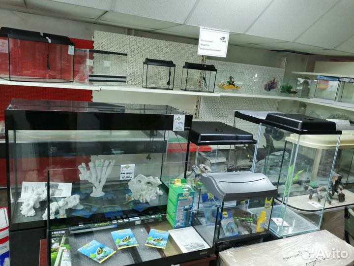 Аквариумы террариумы