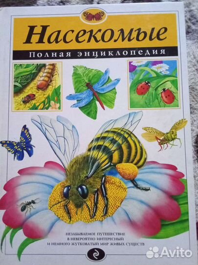 Энциклопедия Насекомых