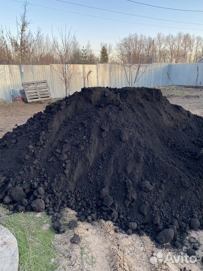 Чернозем, Перегной конский