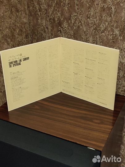 The Spotnicks – Something Like Country / Y-1013