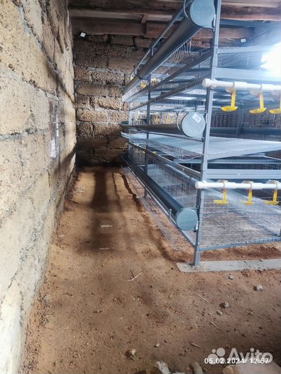 Клетки для кур несушек