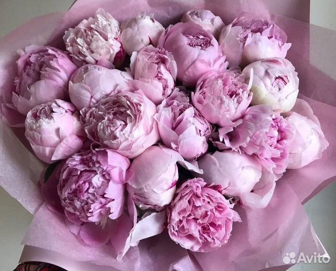 Пионы с доставкой Цветы