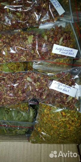 Чаи алтая, ручной сбор