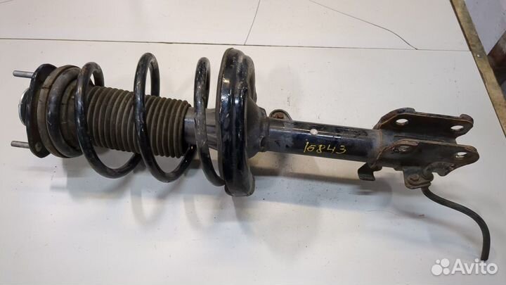 Амортизатор подвески Honda Ridgeline, 2006