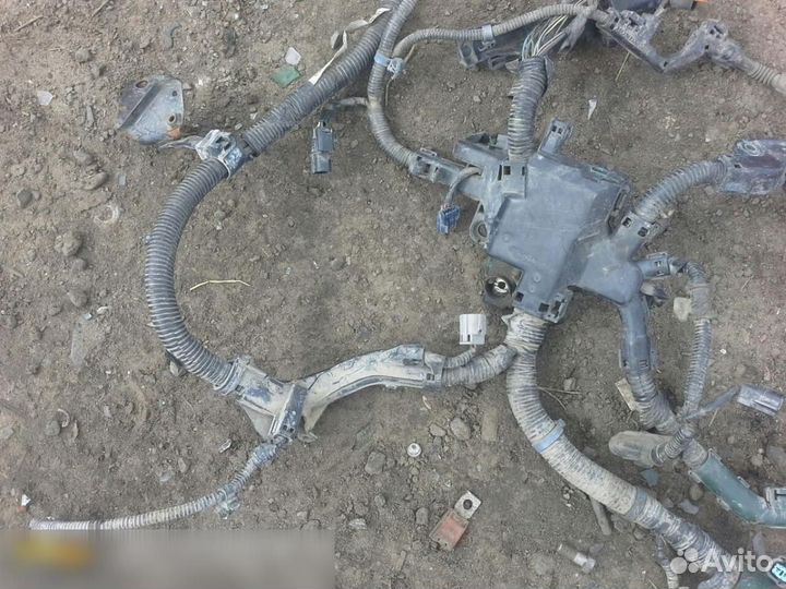 Проводка (коса) Honda Accord viii 2008-2013