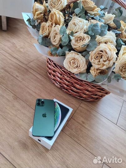 iPhone Xs Max, 512 ГБ