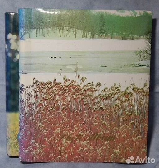 Фотоальбомы (2шт.)