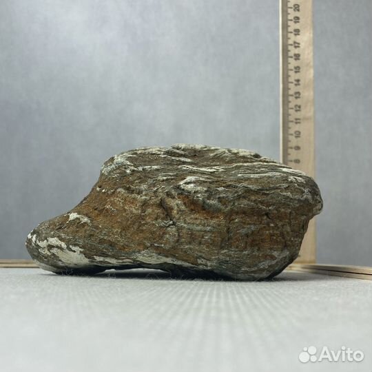 Декор для аквариума 150х110х60