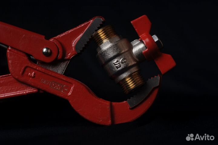 Nikon D 200, Гелиос 81 Н, Гелиос 44-3