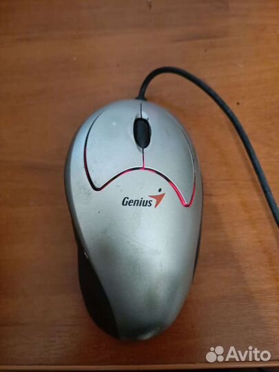 Мышь genius