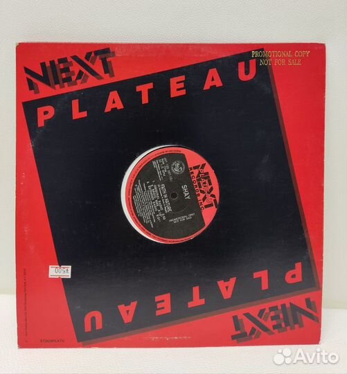 House : Shay - Faith In Nature LP 94 NM US