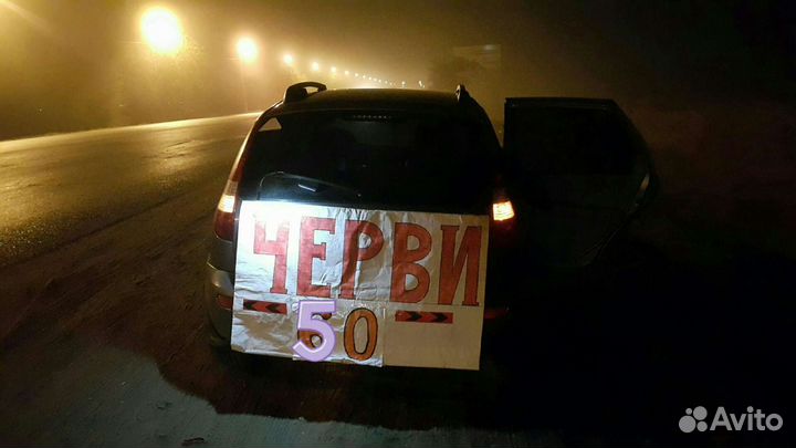 Черви для рыбалки,кокон,малёк дендробена, маточник