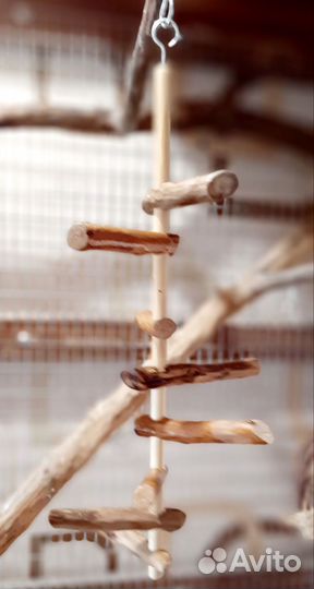 Переноска для попугаев