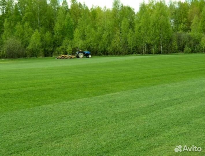 Рулонный газон