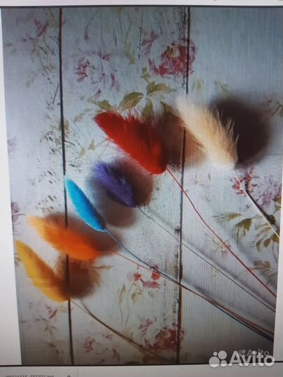 Сухоцветы для творчества в ассортименте