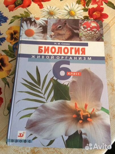 Учебники 6 класса