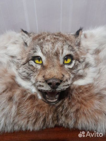 Ковёр рыси (имитация)