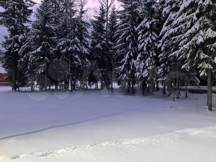 Участок 10,5 сот. (СНТ, ДНП)