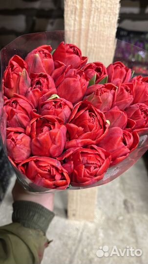 Тюльпаны без луковиц