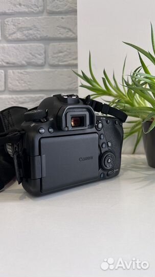 Canon eos 6d mark ii