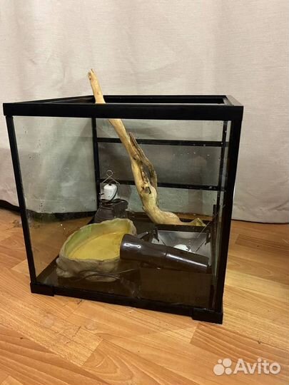 Террариум repti zoo