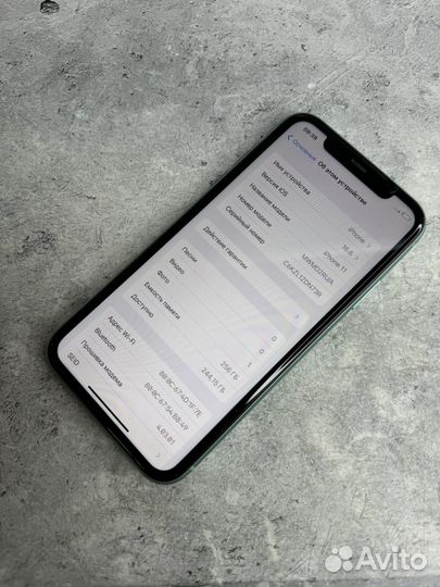 iPhone 11, 256 ГБ