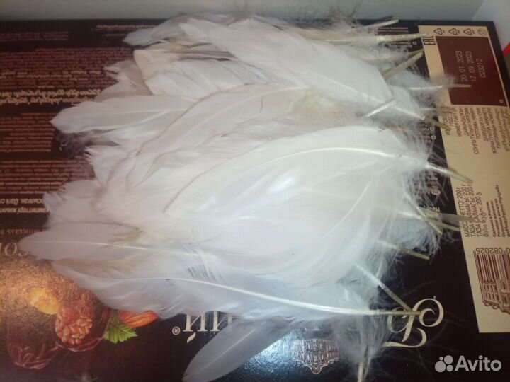 Перо гусиное