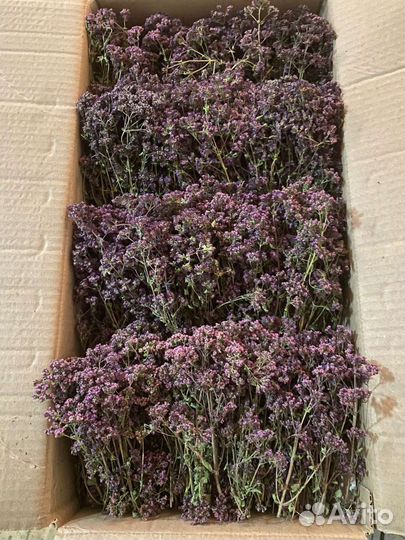 Душица (матрешка) и зверобой