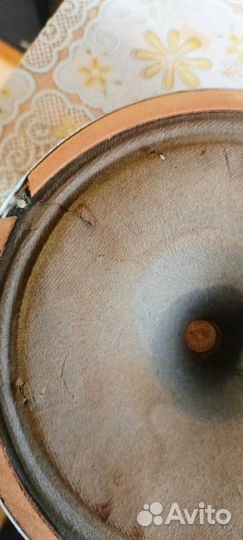 Динамики от ригонда