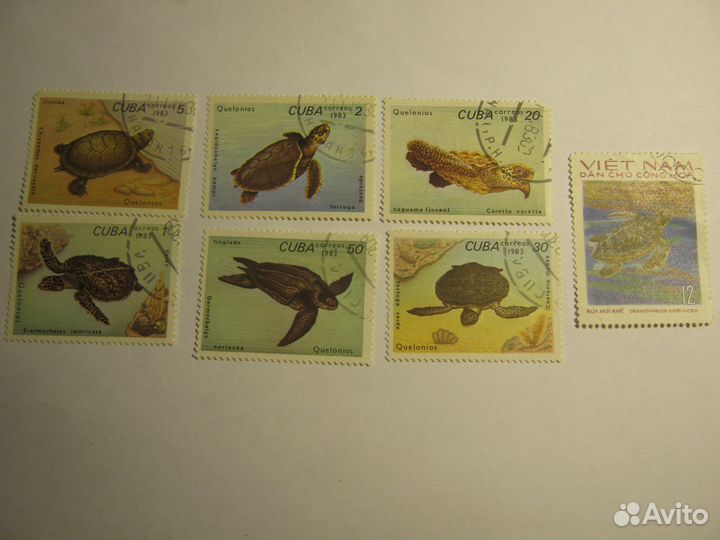 Набор марок Черепахи