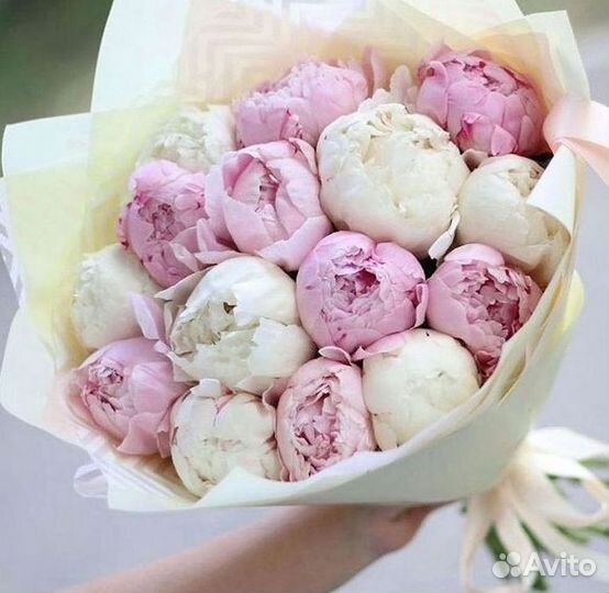 Пионы Цветы Доставка