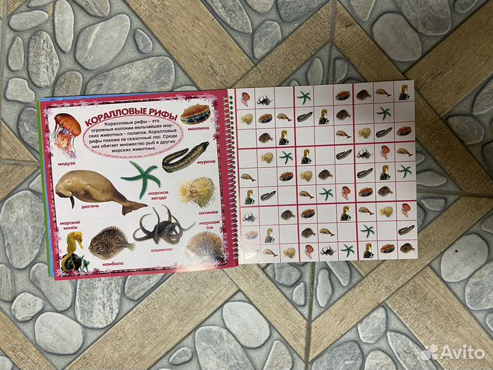 Сафари судоку