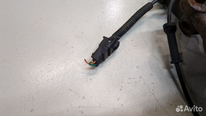 Ступица (кулак, цапфа) правая передняя киа Sorento