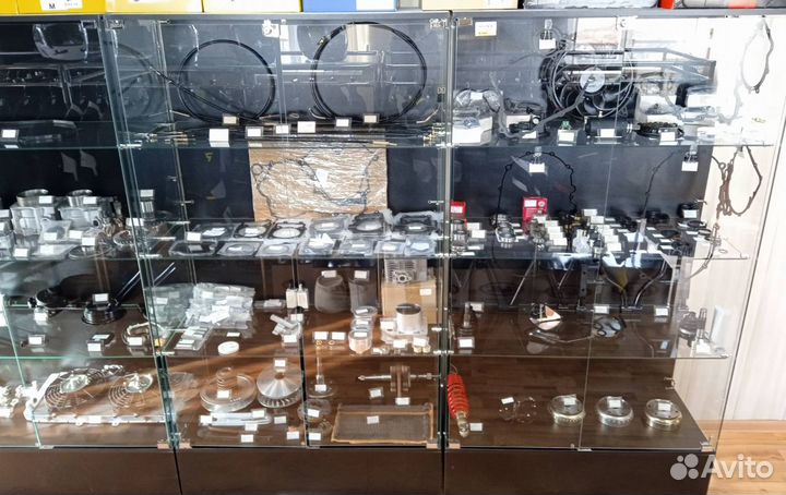 Катушка магнето в сборе (статор) Stels ATV Guepard