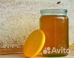 Начитанный Мёд