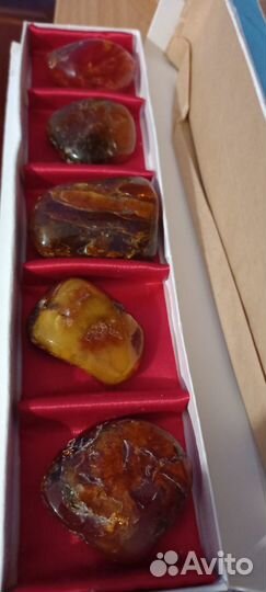 Коллекция янтаря