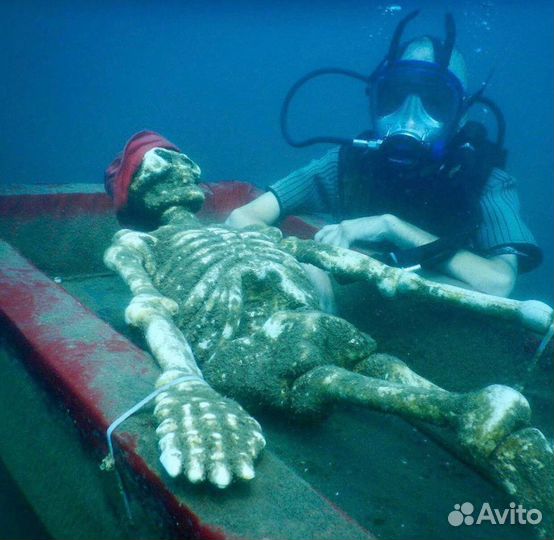 Дайвинг Сочи/Адлер+трансфер