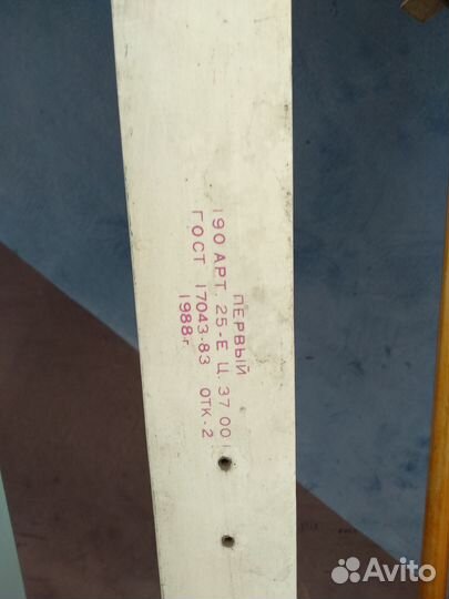 Лыжи и лыжные палки